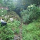 마이산청소년야영장 이미지