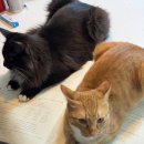 대전봉우중학교 이미지