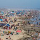 BE medical 이미지