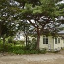 악양농협주유소 이미지