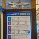 칠갑사니 | 어린이날 칠갑사니수상레포츠 오리배 체험