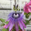 화명초등학교 이미지