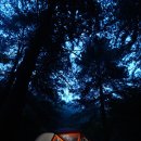 홍만표 | 스위트쉘과 함께 열대야를 피해 포천 계곡으로...