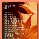 가을 닮은 사람 - 황라현 이미지