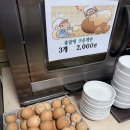 솔잎 | 횡성 평창 찜질방 수가솔방 솔잎찜질방 후기 (숙박 됨)