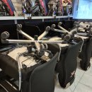 스컬스피시 이미지