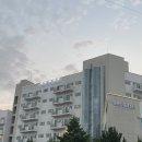 강원도 속초 고성 숙소 오션투유리조트 내돈내산 룸서비스
