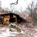 옥대3리 이미지