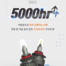 브라비오 - 동구 해동로 160 | 브라비오