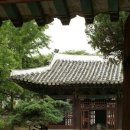 개성 Daum카페