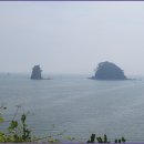 꽃지가는길 이미지