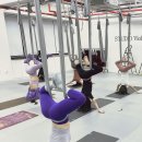 스튜디오바이올렛