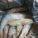 노량진수산시장녹동수산