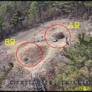 50. 군위 엄흥도 진묘 추정 묘 발견과 진묘, 가묘 미스터리 이미지