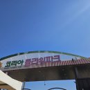 코리아파크 | [태안 2박3일여행] 태안 봄꽃축제 &#39;코리아플라워파크&#39;후기~^^*