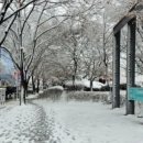 발달장애인주간보호센터 | 발달장애인 주간활동(보호)센터 청춘 토크 콘서트 [인천신체장애인복지회 남동구지부]