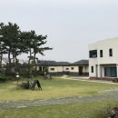 세화온게스트하우스