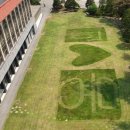 용인정신병원 이미지