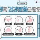 김호선한의원 네이버블로그