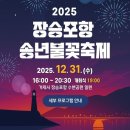 2024년 장승포항 송년불꽃축제 | (거제/행사) 2025 장승포항 송년불꽃축제