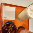 수다맨노래연습장 이미지