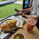 동화나라 애견 | 인천대공원 나들이 후 들르기 좋은 베이커리 맛집, 인천대공원 대형카페 앨리스가든 다녀 왔어요!🍂