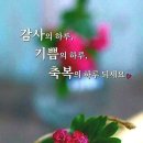 감동 스토리 - 눈물의 사과 이미지