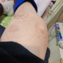 단양경희한의원 이미지