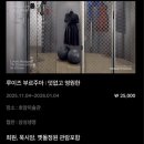 삼성미술관 Leeum | 리움미술관에서 호암미술관 왕복셔틀 정보및 후기(한시기간 운영)