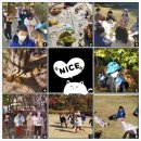 헤세드영재학원