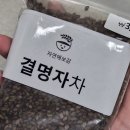 자연애보감