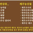 청정제주농산 이미지