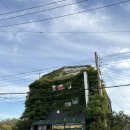 만호호성식당 | 평택 맛집 만호호성식당 솔직후기_내돈내산