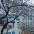 바이탈13