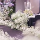 예뜰리에 이미지