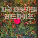 레드슈림프 | 파주 레드파이프 데이트 후기! 다양한 빵부터 무료 주차까지 갖춘 파주 대형 베이커리 카페 추천
