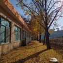 백봉초등학교(병설) 이미지