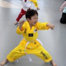 튼튼아이 태권도장 이미지