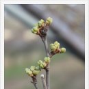 신태양농장 이미지