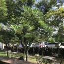 살롱드정원 이미지