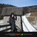 연사랑 목장 이미지