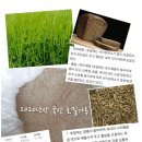 호밀씨 이미지