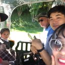 로니의 기차 이미지