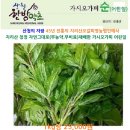 원오농장 네이버블로그