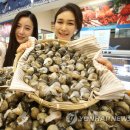 골뱅이 Daum카페