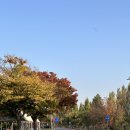 용산 아모레퍼시픽 카페 추천 : 오설록티하우스 용산파크점