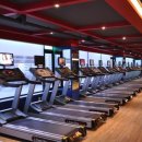 Mango gym Daum카페