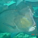 안문생한의원 이미지