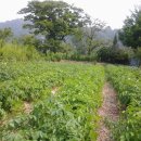 시골정취 이미지