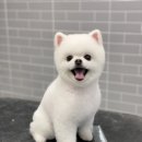 밍그루밍 이미지